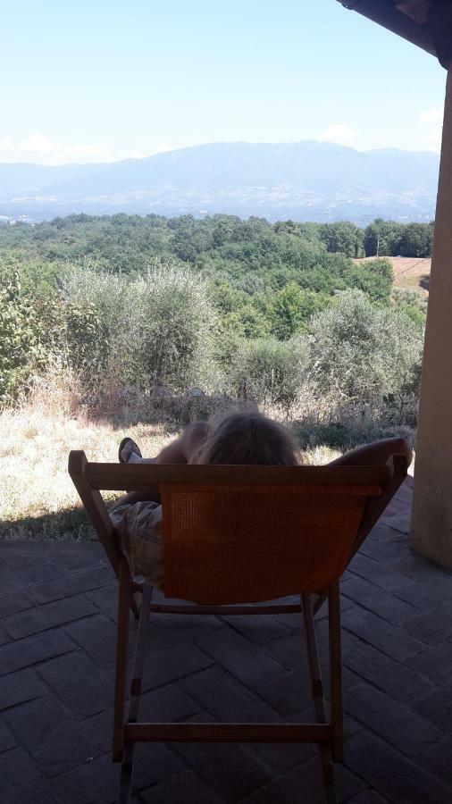 Bioagriturismo Poderaccio Incisa in Val d'Arno Dış mekan fotoğraf