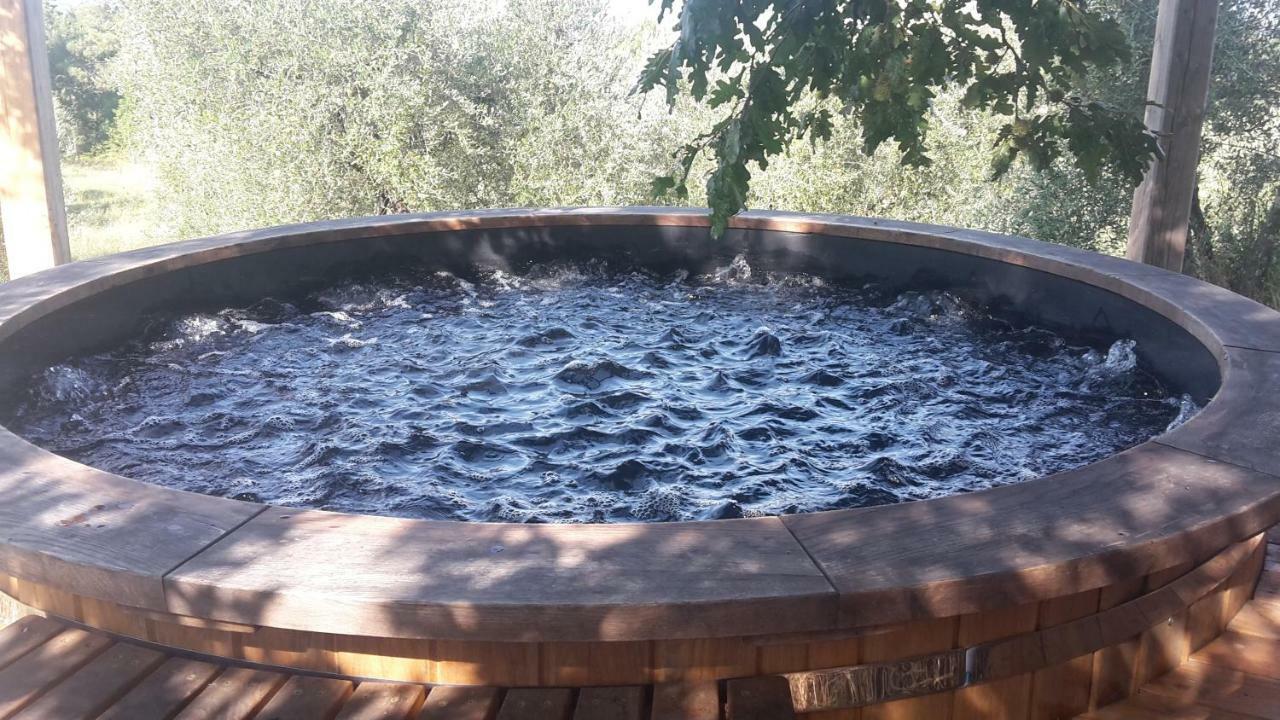Bioagriturismo Poderaccio Incisa in Val d'Arno Dış mekan fotoğraf