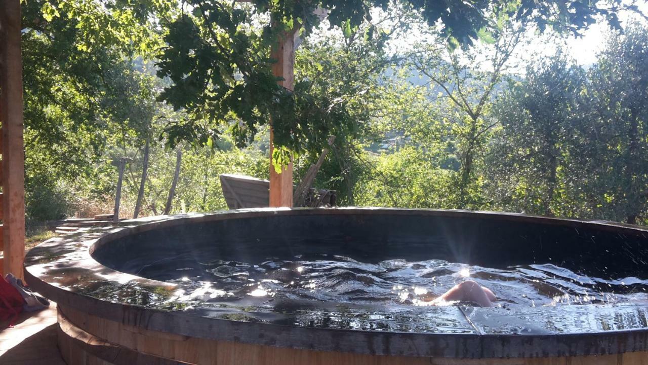 Bioagriturismo Poderaccio Incisa in Val d'Arno Dış mekan fotoğraf