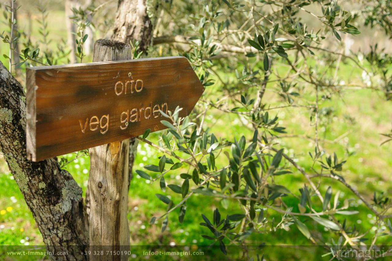 Bioagriturismo Poderaccio Incisa in Val d'Arno Dış mekan fotoğraf