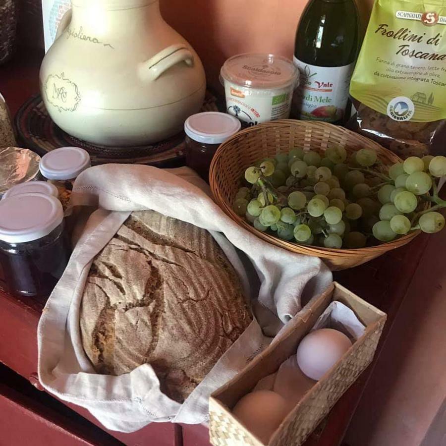 Bioagriturismo Poderaccio Incisa in Val d'Arno Dış mekan fotoğraf